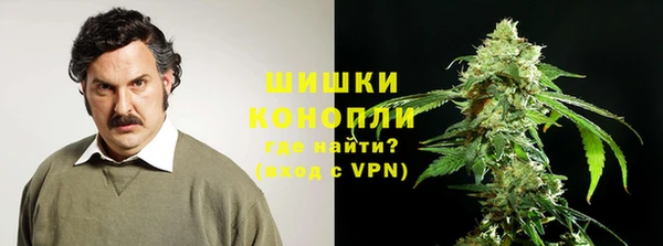 mix Ельня