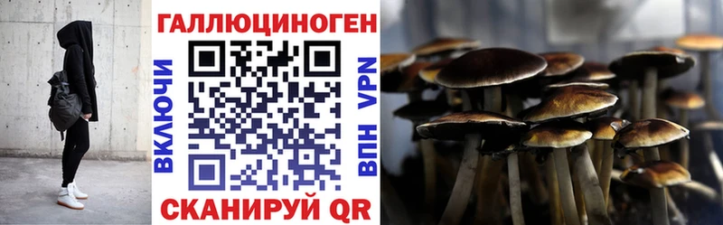 omg tor  Славянск-на-Кубани  Галлюциногенные грибы прущие грибы 
