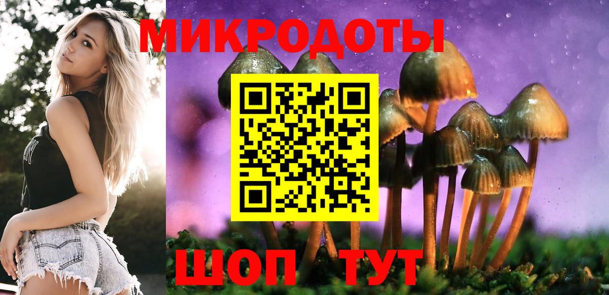 Галлюциногенные грибы мицелий Славянск-на-Кубани