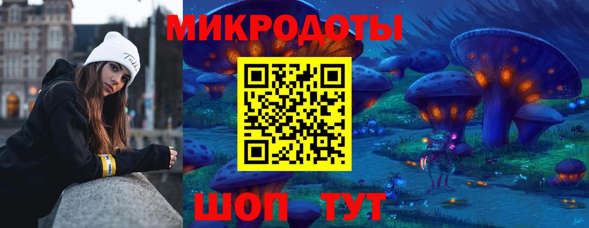 Псилоцибиновые грибы Psilocybe  Славянск-на-Кубани 