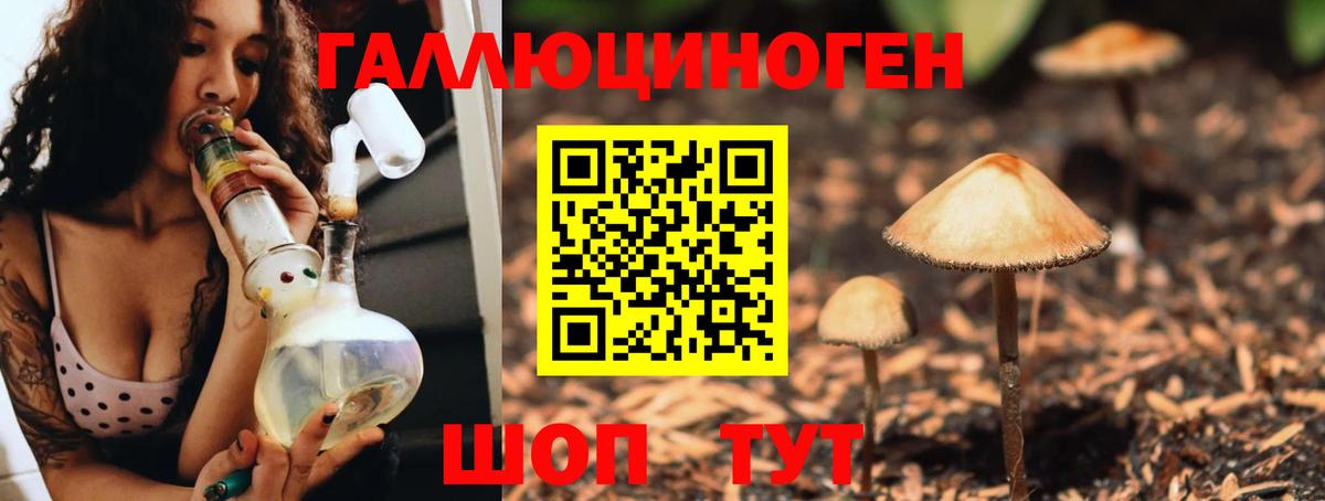 Псилоцибиновые грибы MAGIC MUSHROOMS  как найти наркотики  Славянск-на-Кубани  Вход с VPN 